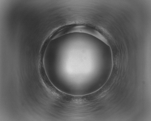 X0000071350540200606231207