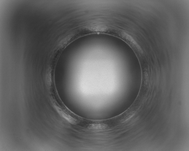 X0000071350541200606231207