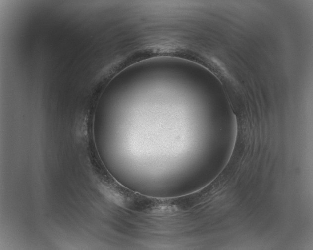 X0000071350543200606231207