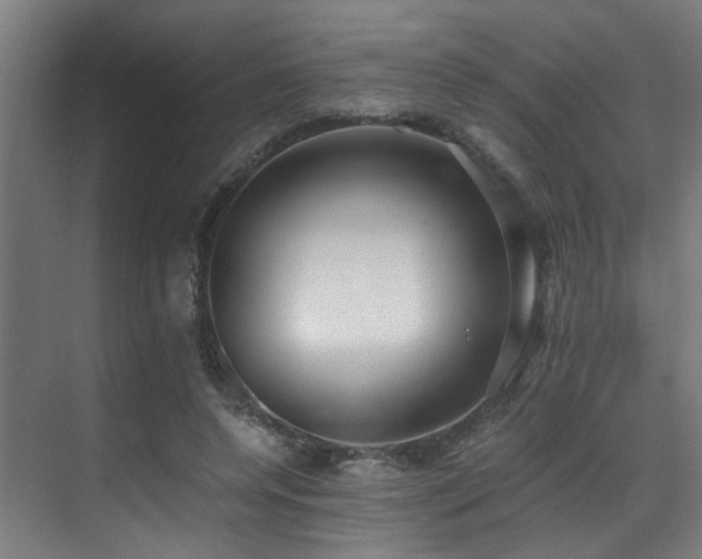 X0000071350544200606231207