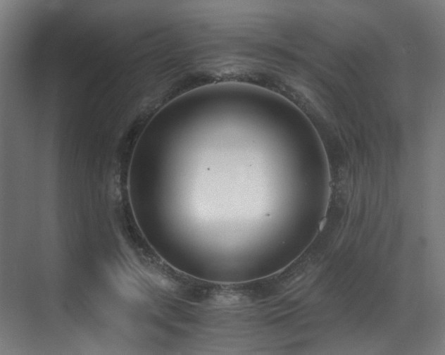 X0000071350547200606231207