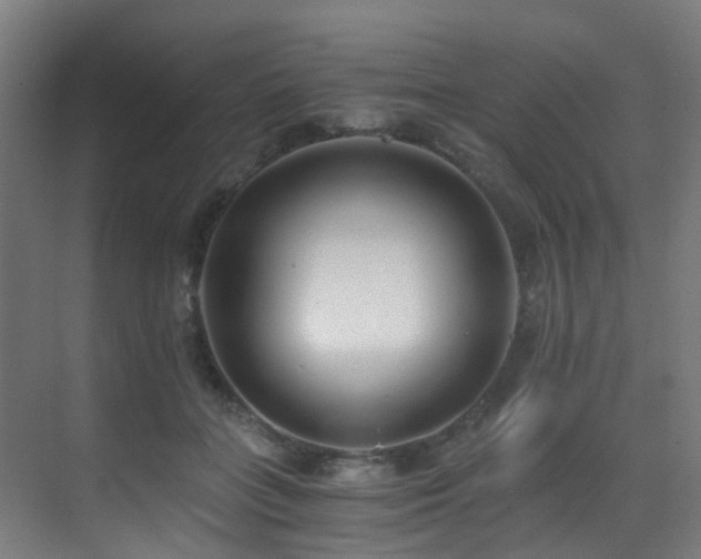 X0000071350555200606231207