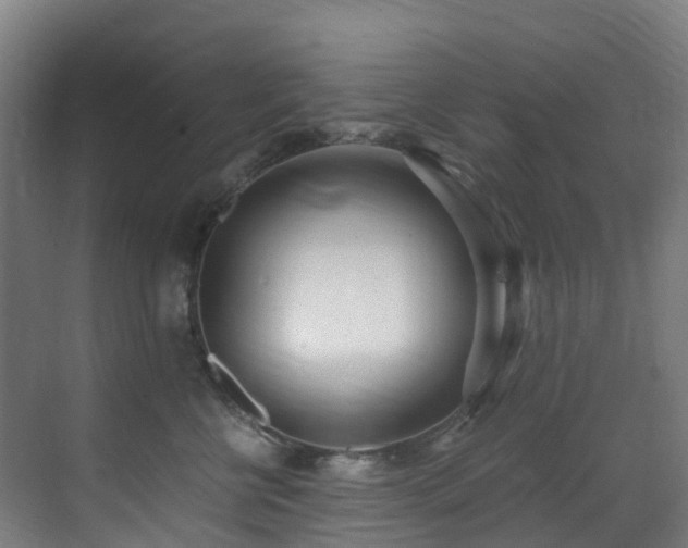 X0000071350570200606231207