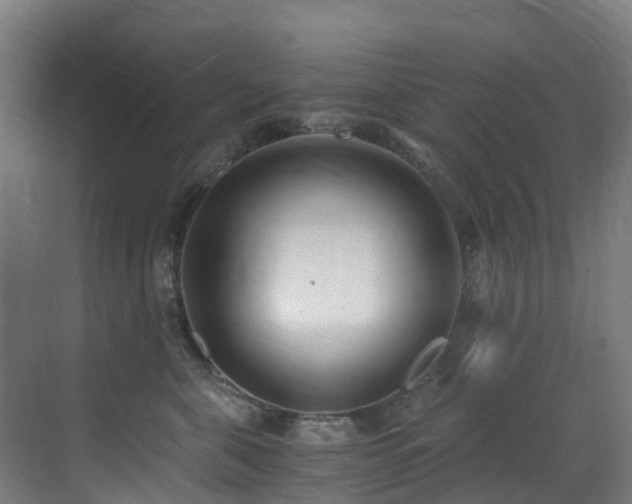 X0000071350571200606231207