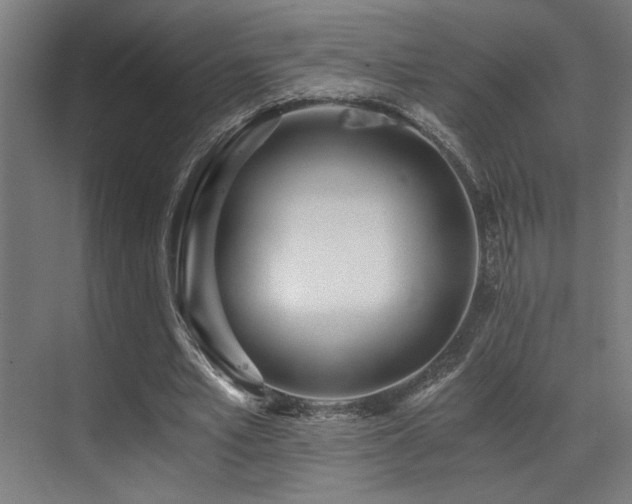 X0000071350581200606231206
