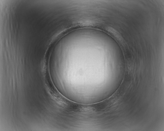 X0000071350583200606231206