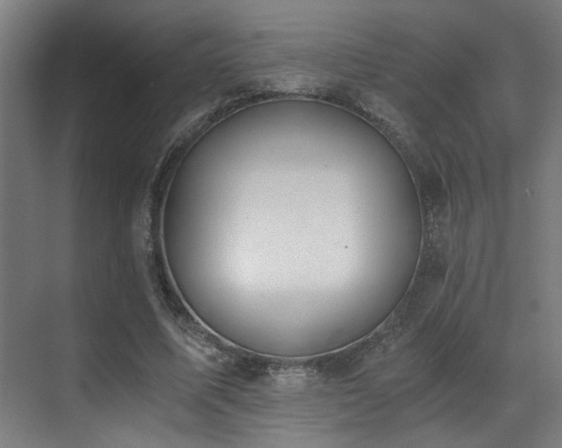 X0000071350587200606231206
