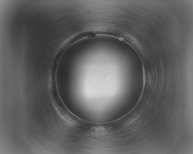 X0000071350588200606231206