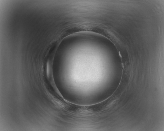 X0000071350597200606231206