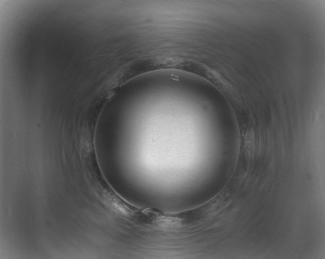 X0000071350617200606231206