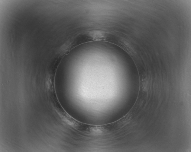 X0000071350618200606231206