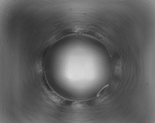 X0000071350620200606231206