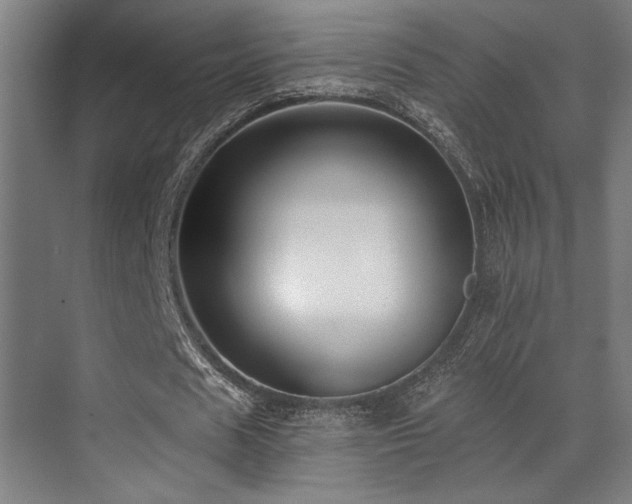 X0000071350625200606231205