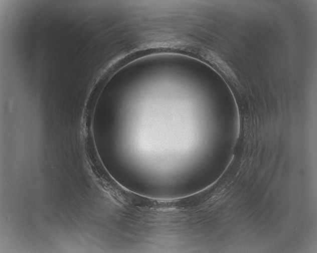 X0000071350628200606231205