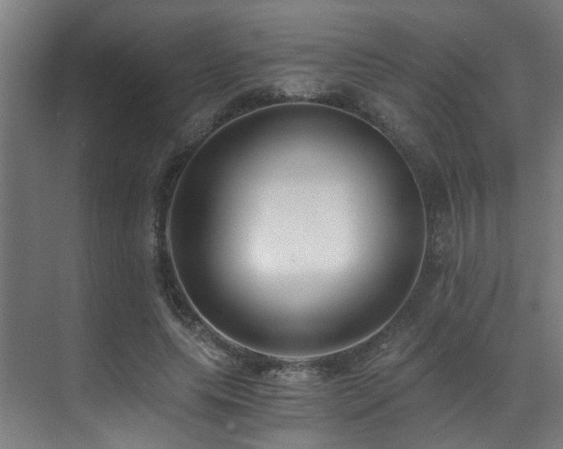 X0000071350639200606231205
