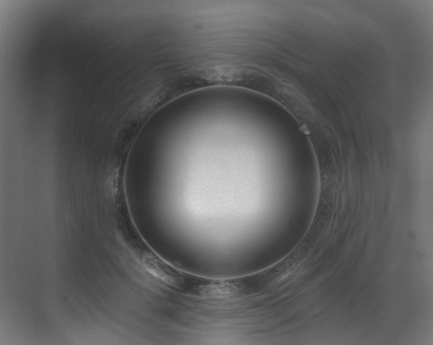 X0000071350652200606231205