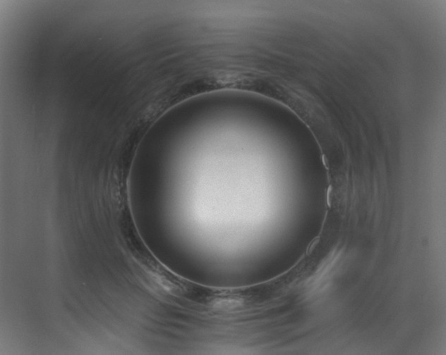 X0000071350653200606231205