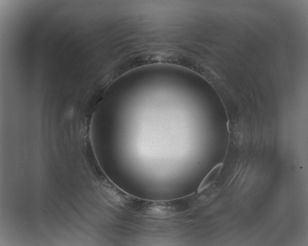 X0000071350657200606231205