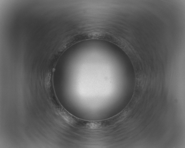 X0000071350660200606231205