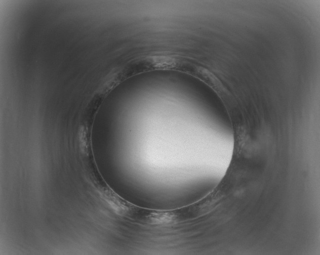 X0000071350667200606231205