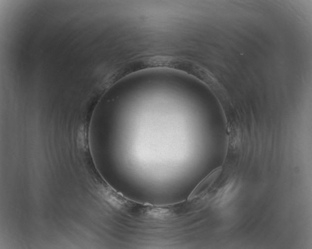 X0000071350669200606231205