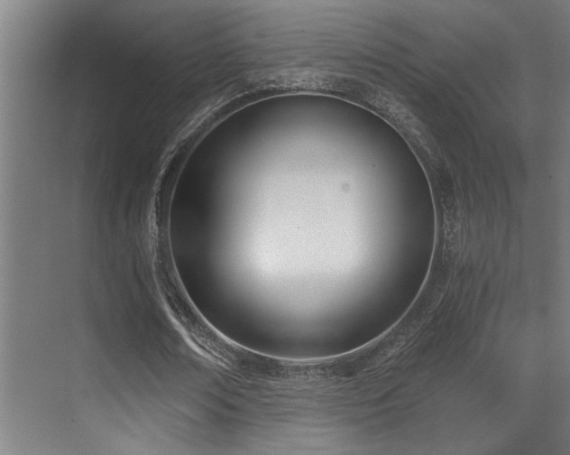X0000071350674200606231205