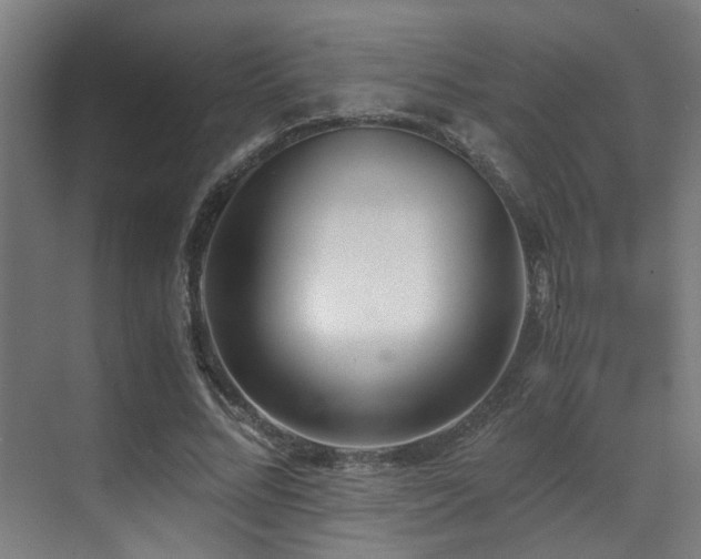 X0000071350684200606231205