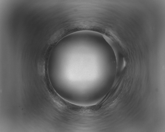 X0000071350685200606231204