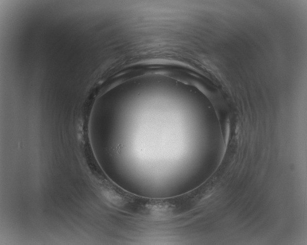 X0000071350693200606231204