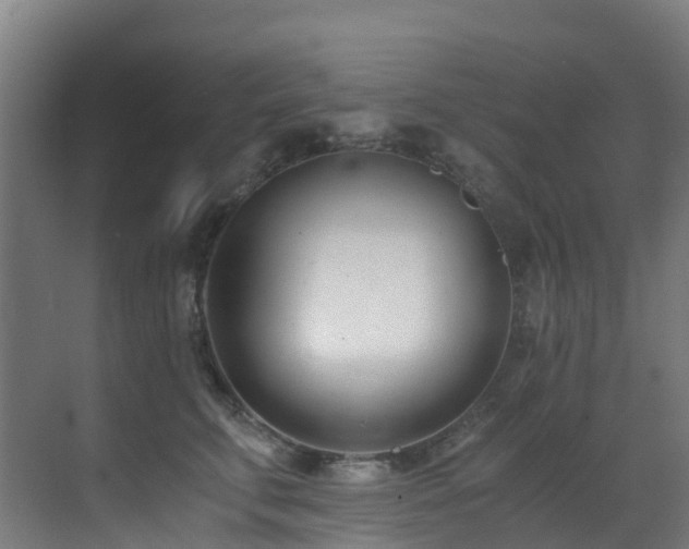X0000071350711200606231204
