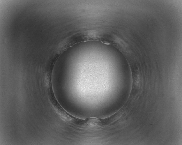 X0000071350715200606231204