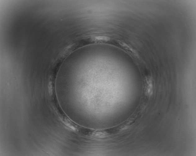 X0000071350716200606231204