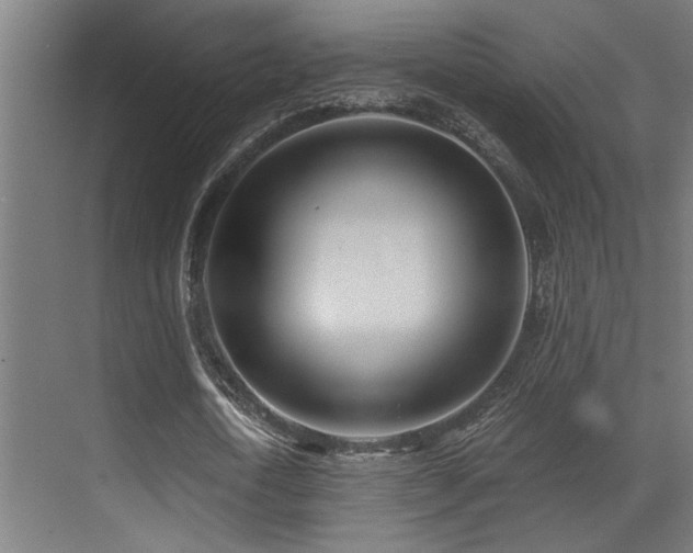 X0000071350722200606231203