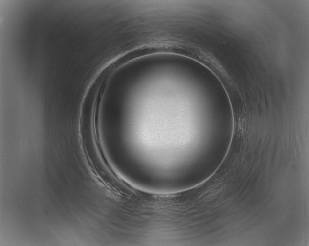 X0000071350724200606231203