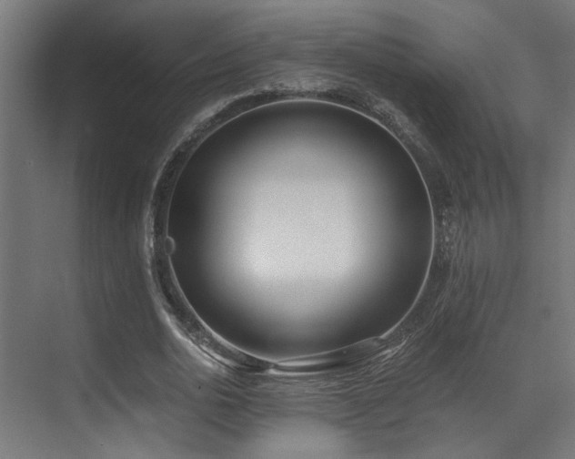 X0000071350726200606231203