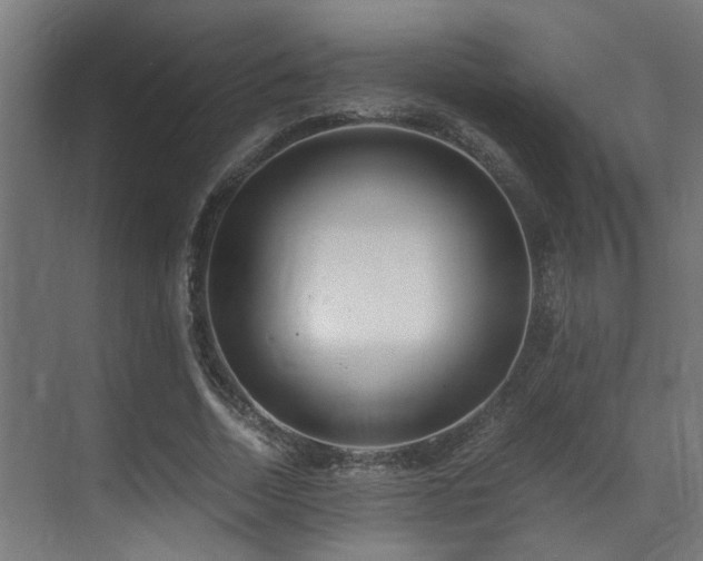 X0000071350730200606231203