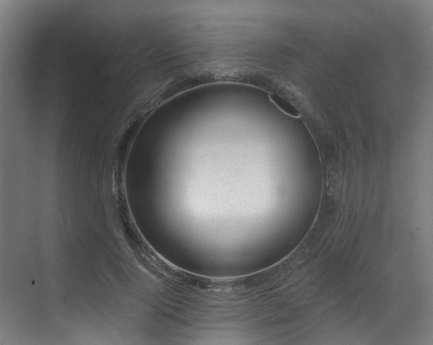 X0000071350740200606231203
