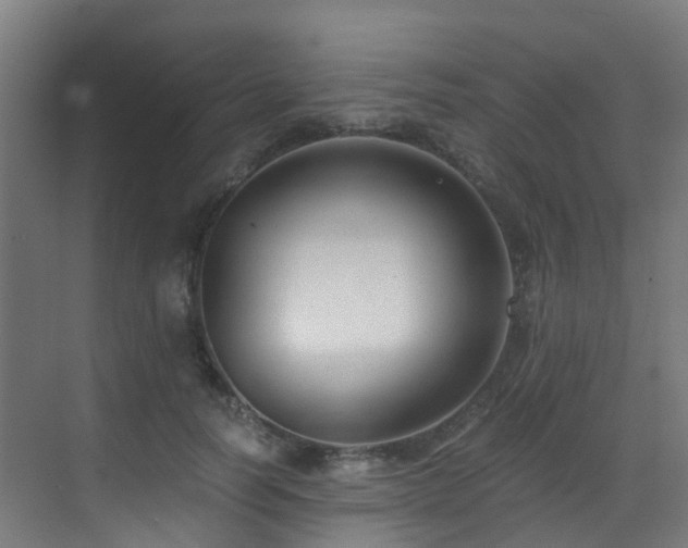X0000071350746200606231204
