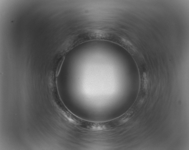 X0000071350760200606231204