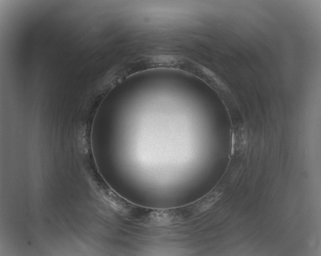 X0000071350764200606231204