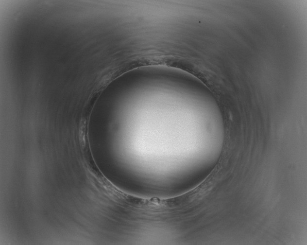 X0000071350768200606231204