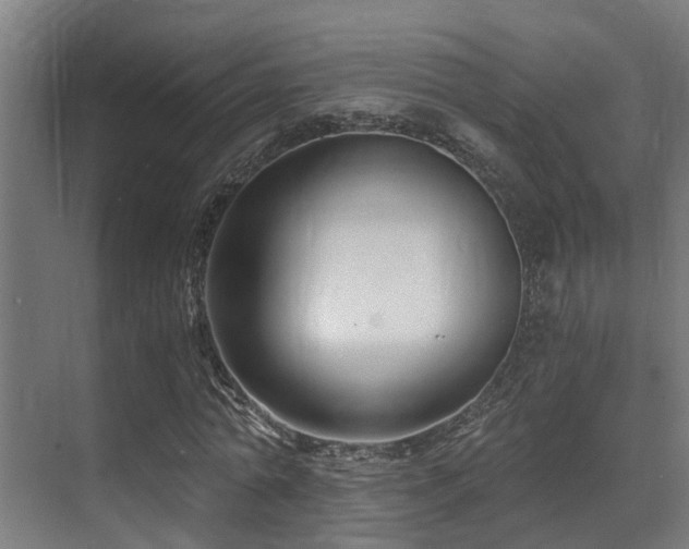 X0000071350774200606231203