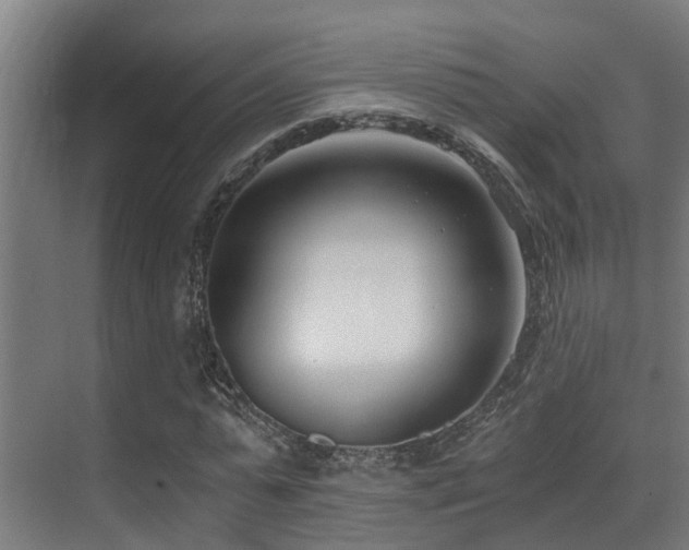 X0000071350775200606231203