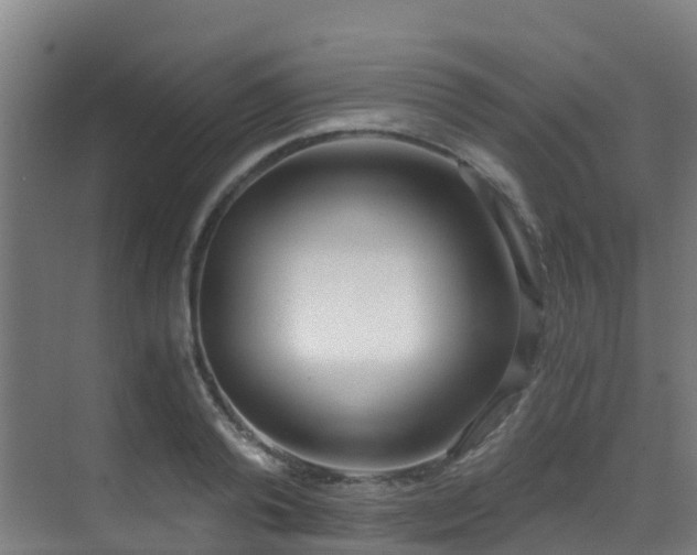 X0000071350792200606231203
