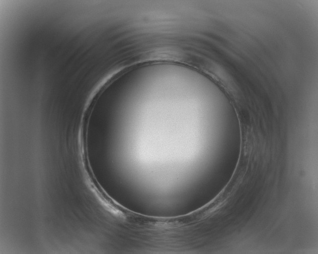 X0000071350796200606231203