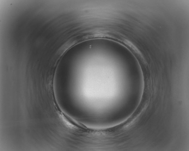 X0000071350801200606231203