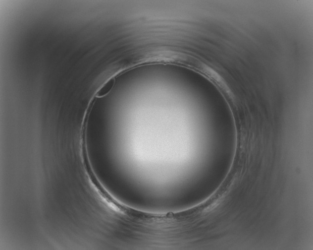 X0000071350802200606231203