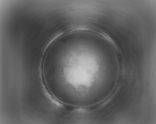 X0000071350806200606231202