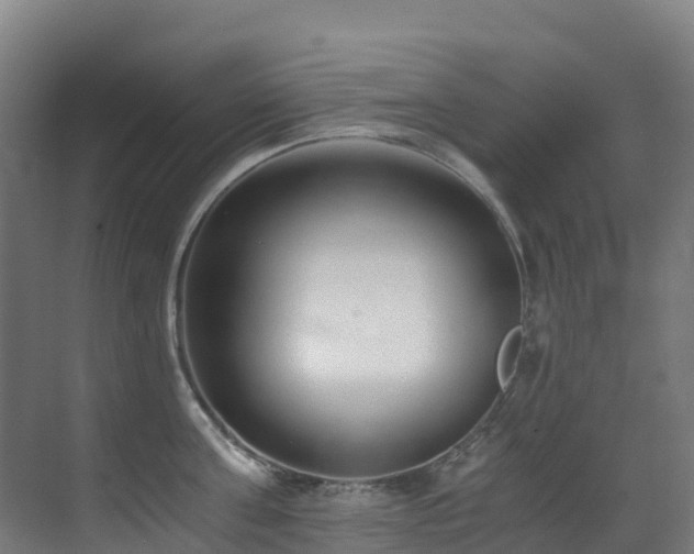 X0000071350811200606231202