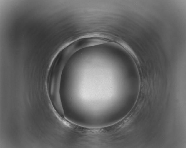 X0000071350813200606231202